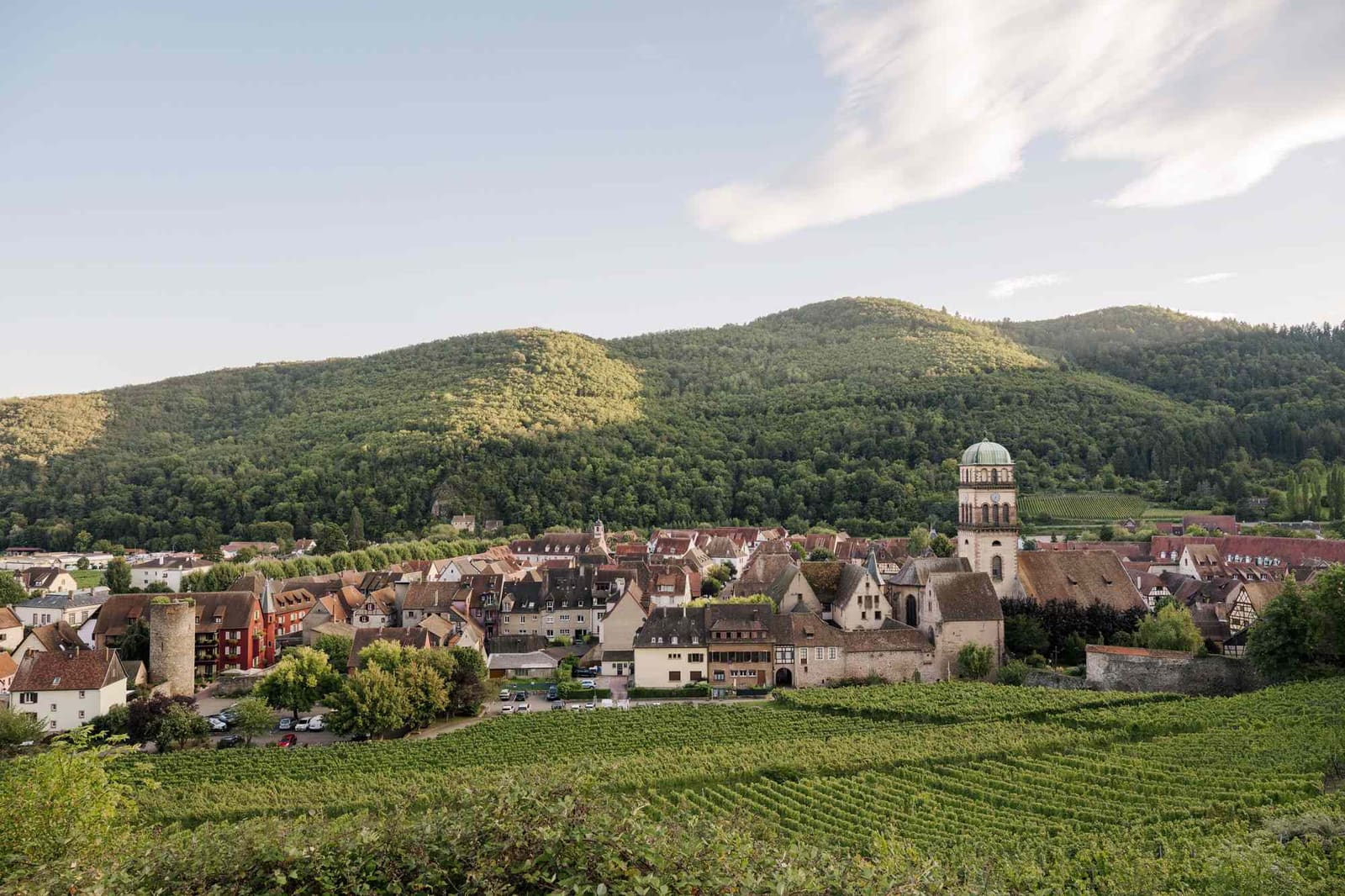 Beyond the Expected: How Alsace Rewrites the Wine-Country Playbook