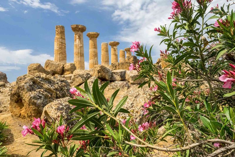 The Quiet Transformation of Sicily's Traveler Appeal