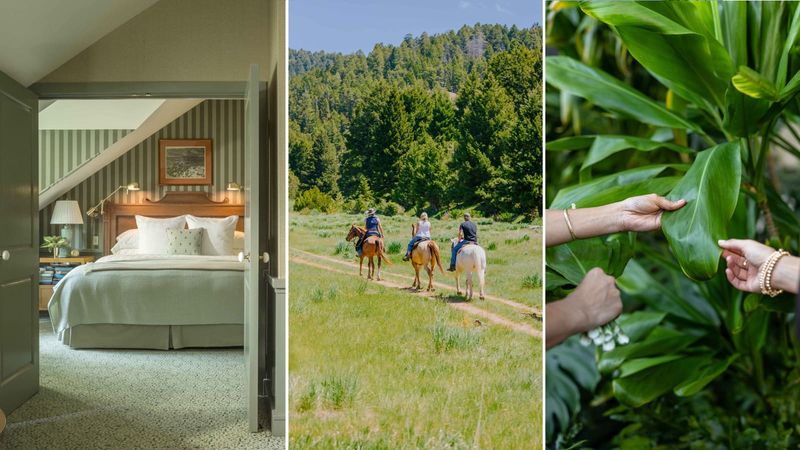 Where Travel Becomes Education: A New Generation of Retreat