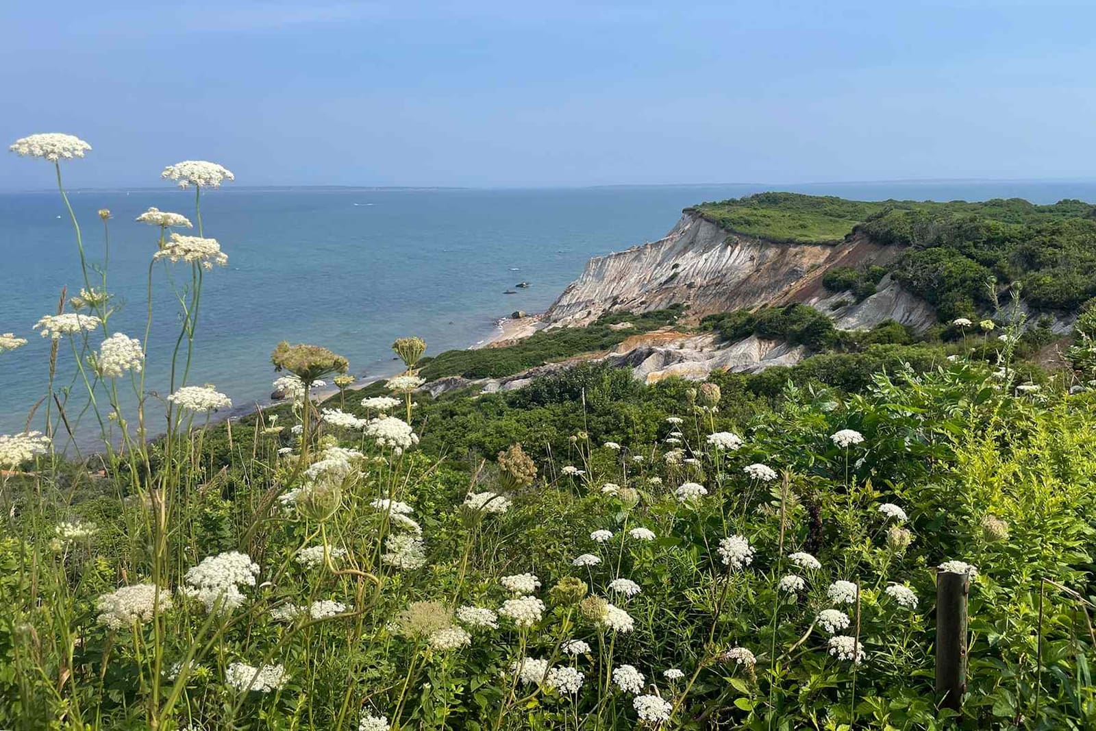 The Salt-Trimmed Edge of Martha's Vineyard