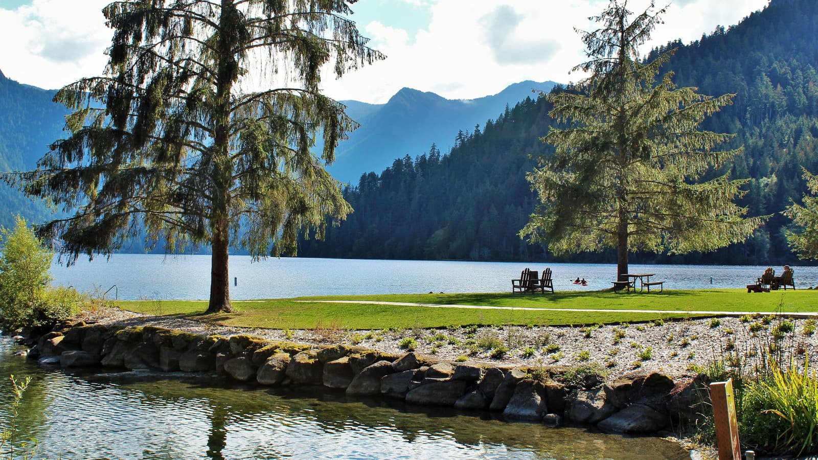 Where to Find Your Stillness Near Olympic's Temperate Rainforests