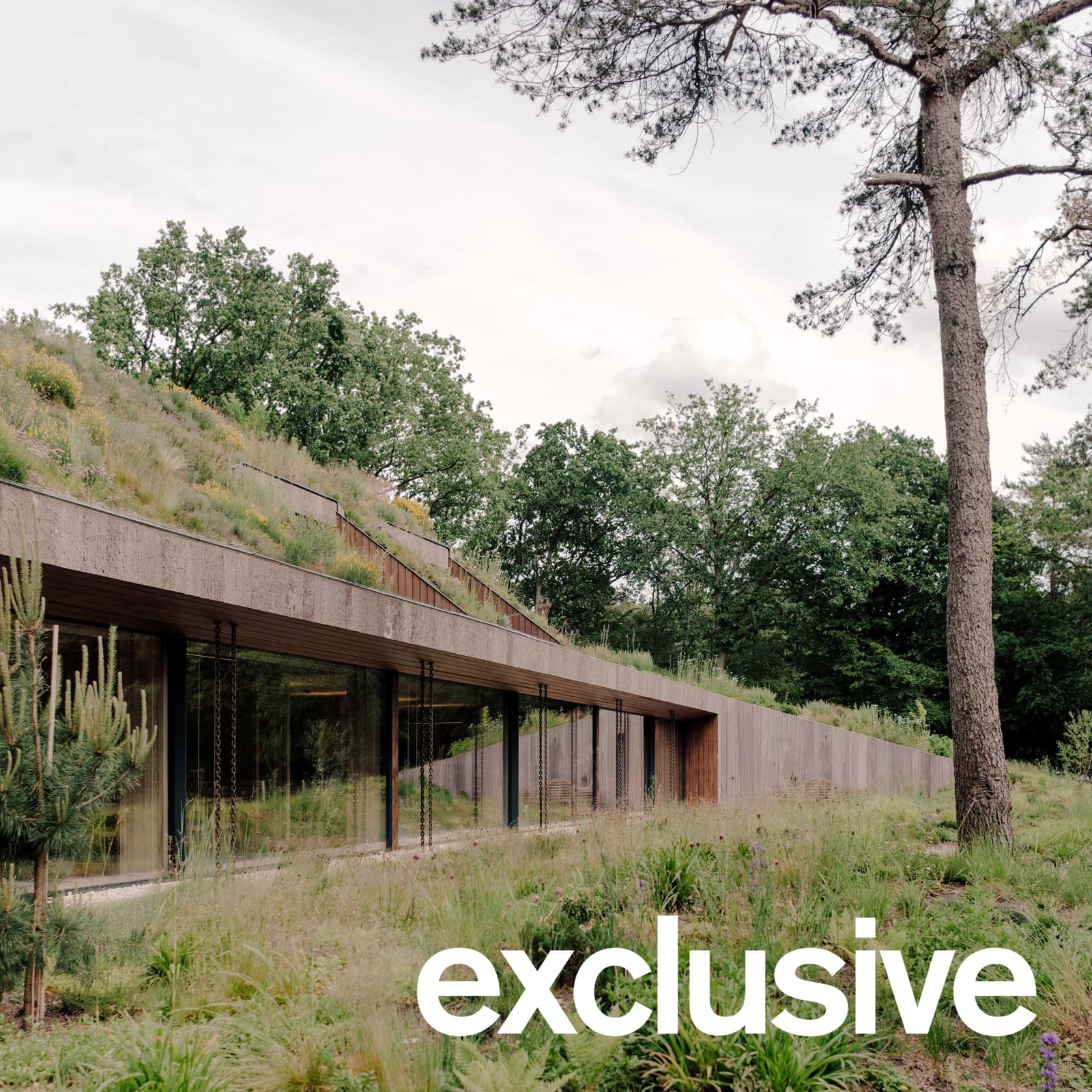 How a Historic Dwelling Type Is Reshaping Office Architecture in North Holland