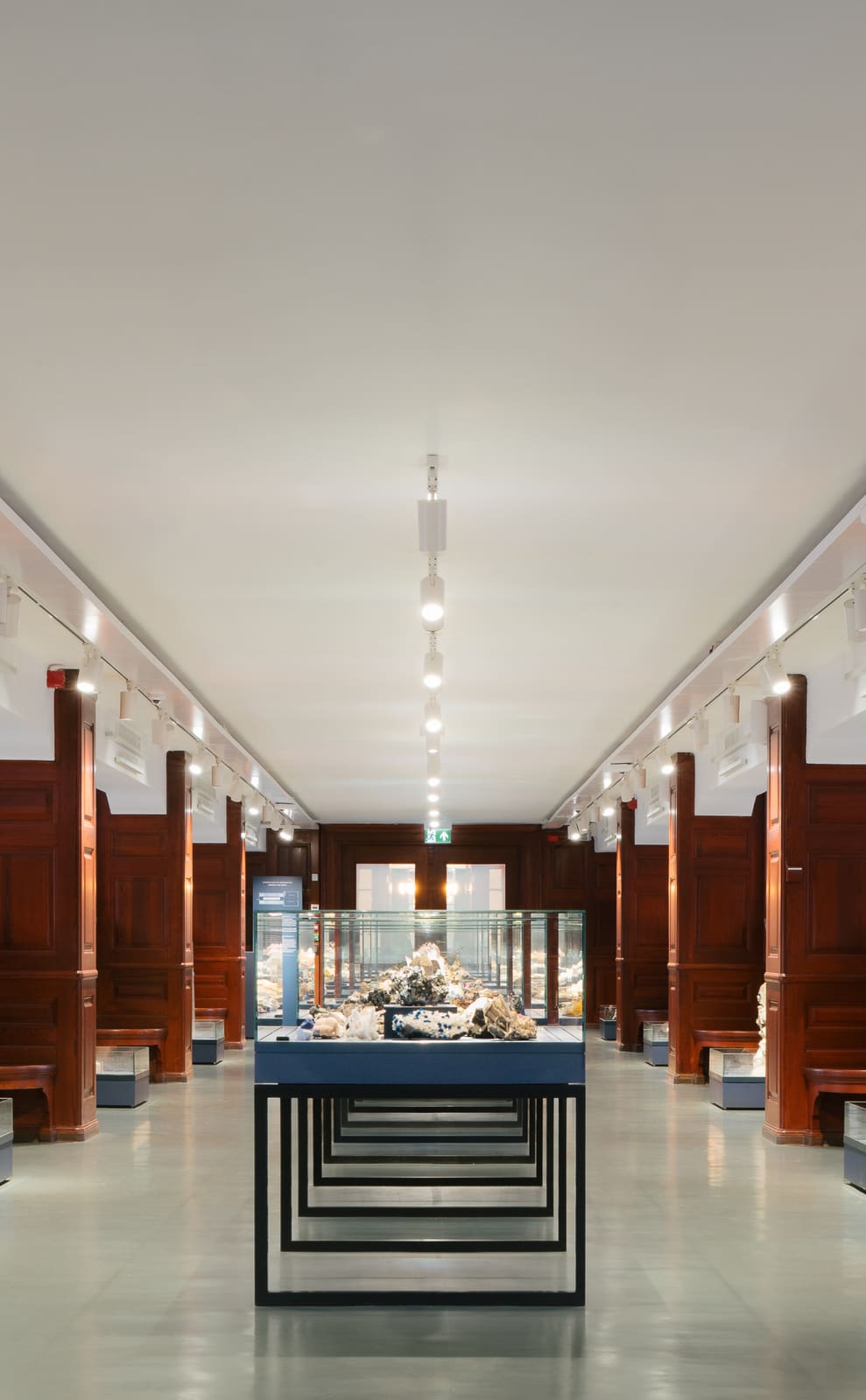 How Display Cases Shape the Experience of Deep Time