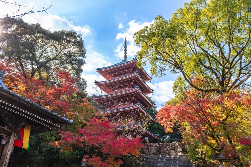 Japan's Capital Repatriation Push Tests Global Portfolio Strategies