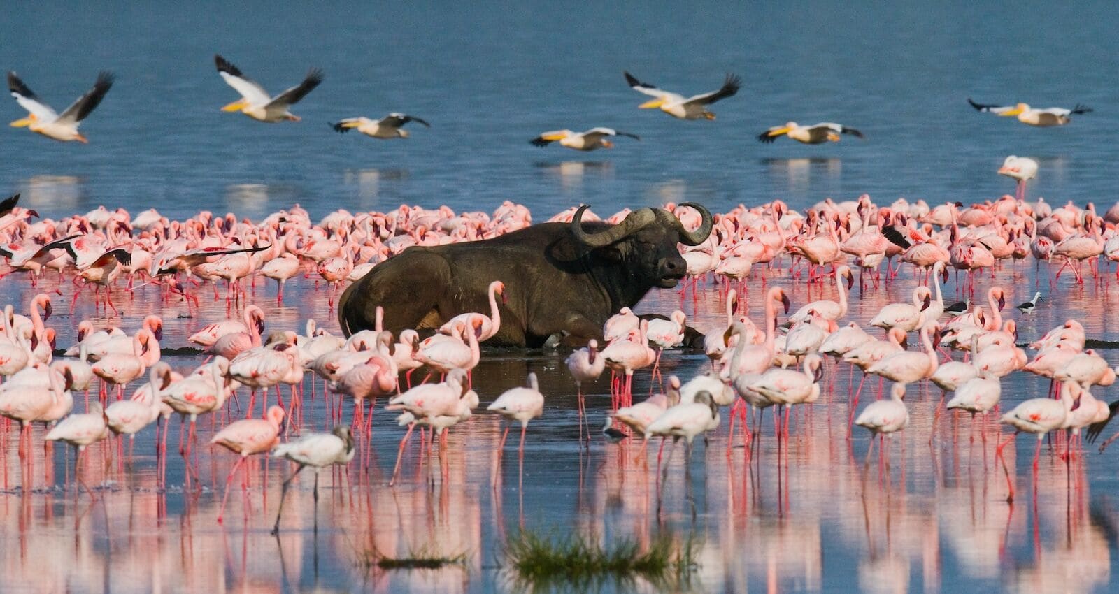 Nairobi