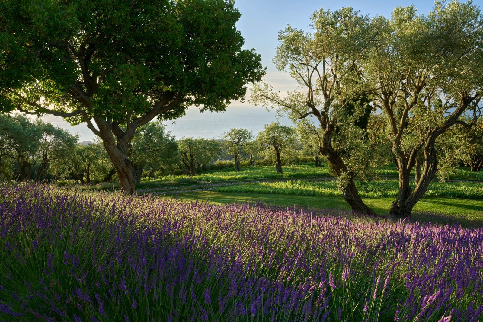 How Lavender, Limestone, and Ancient Olives Shaped Chanel's Forgotten Riviera Retreat