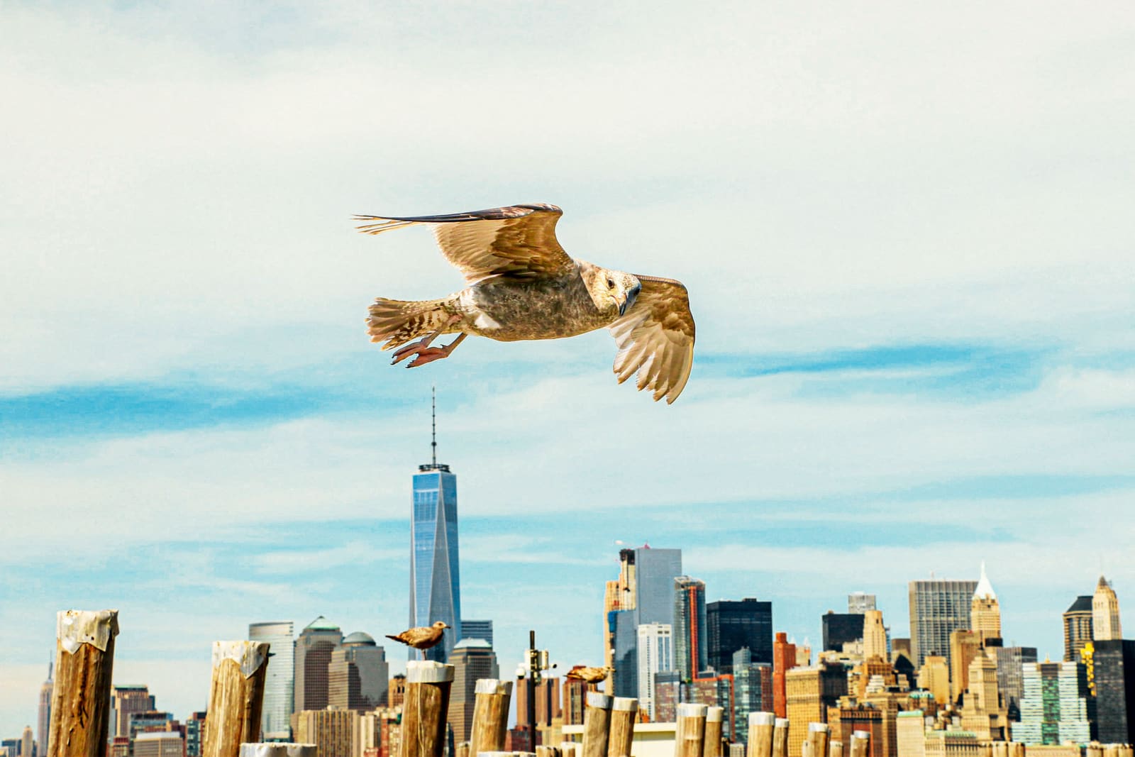 New York