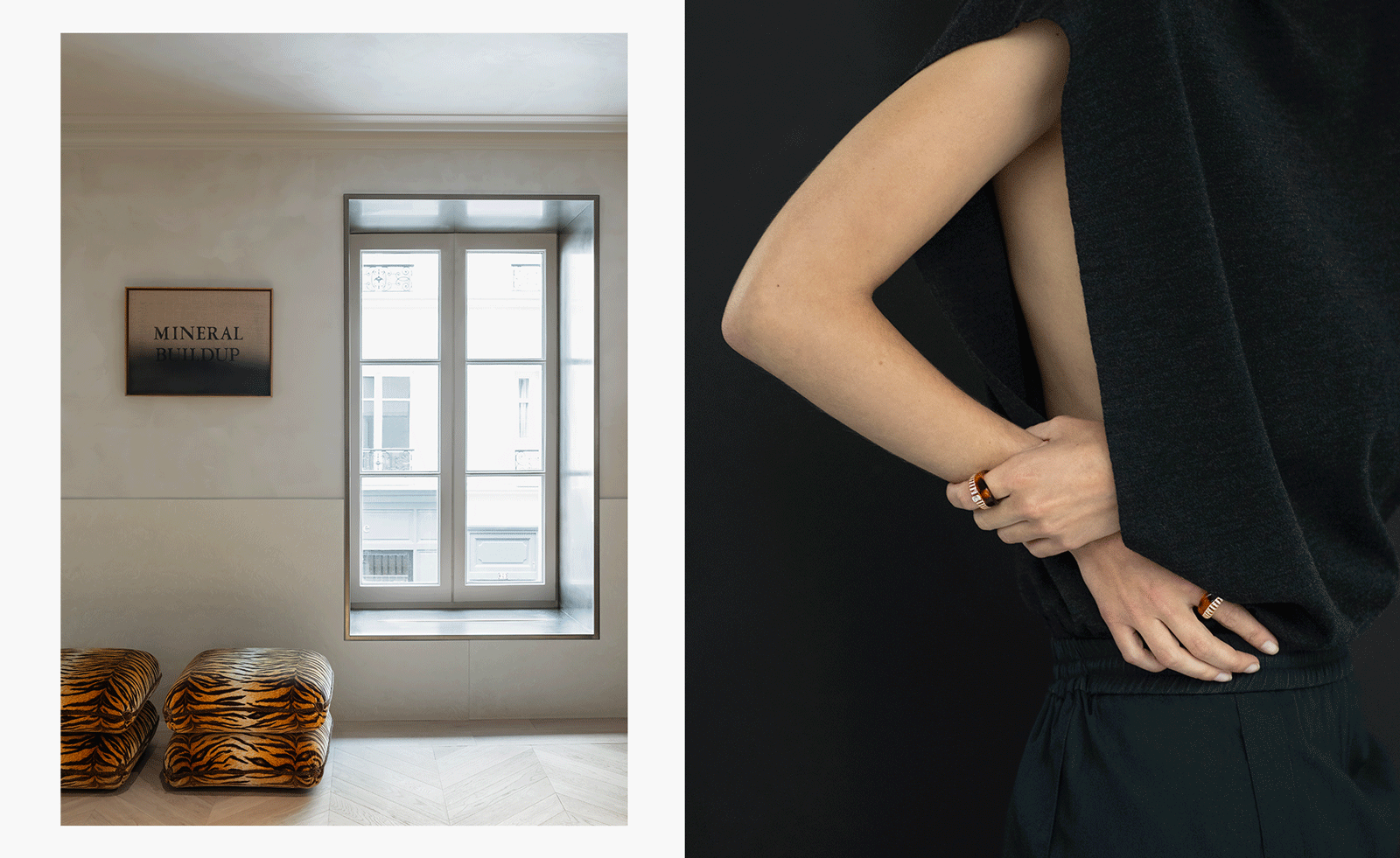 How One Jeweler Turned a Parisian Townhouse Into a Design Cabinet of Curiosities