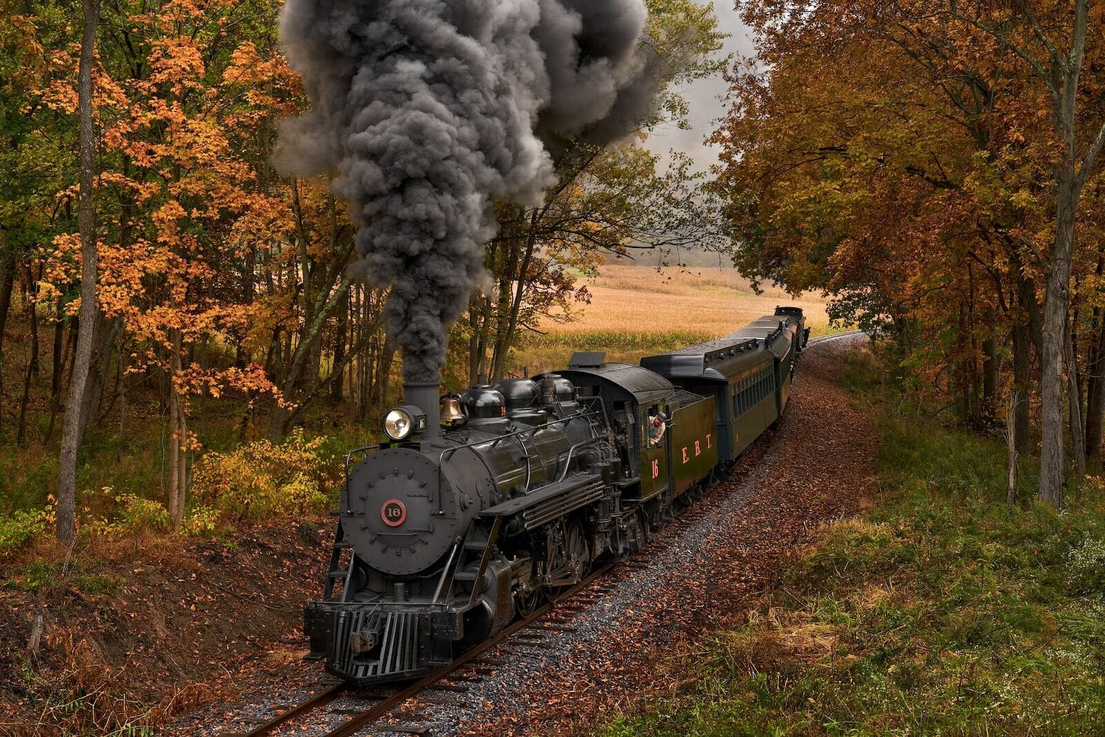 A Coal-Fired Steam Train Runs Through Pennsylvania's Autumn Forests