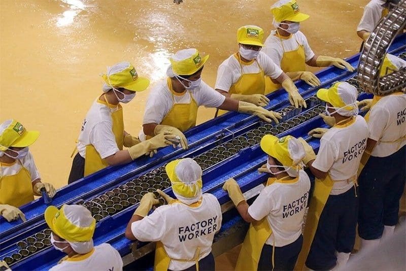 Philippine Manufacturing Accelerates to 10.1% Growth on Fuel and Food Output