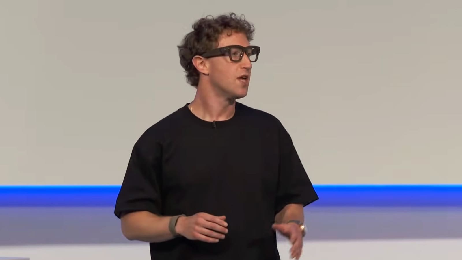 Privacy Advocacy Meets Wearable Surveillance in German Legal Challenge
