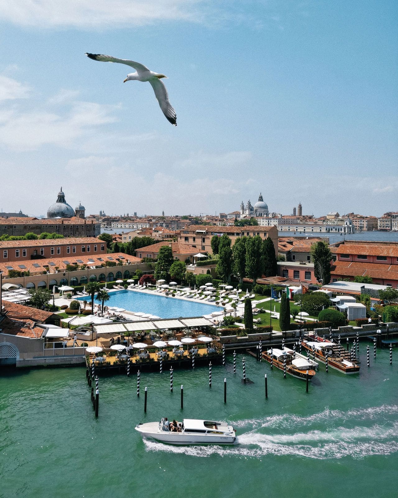The Quiet Endurance of Hotel Cipriani