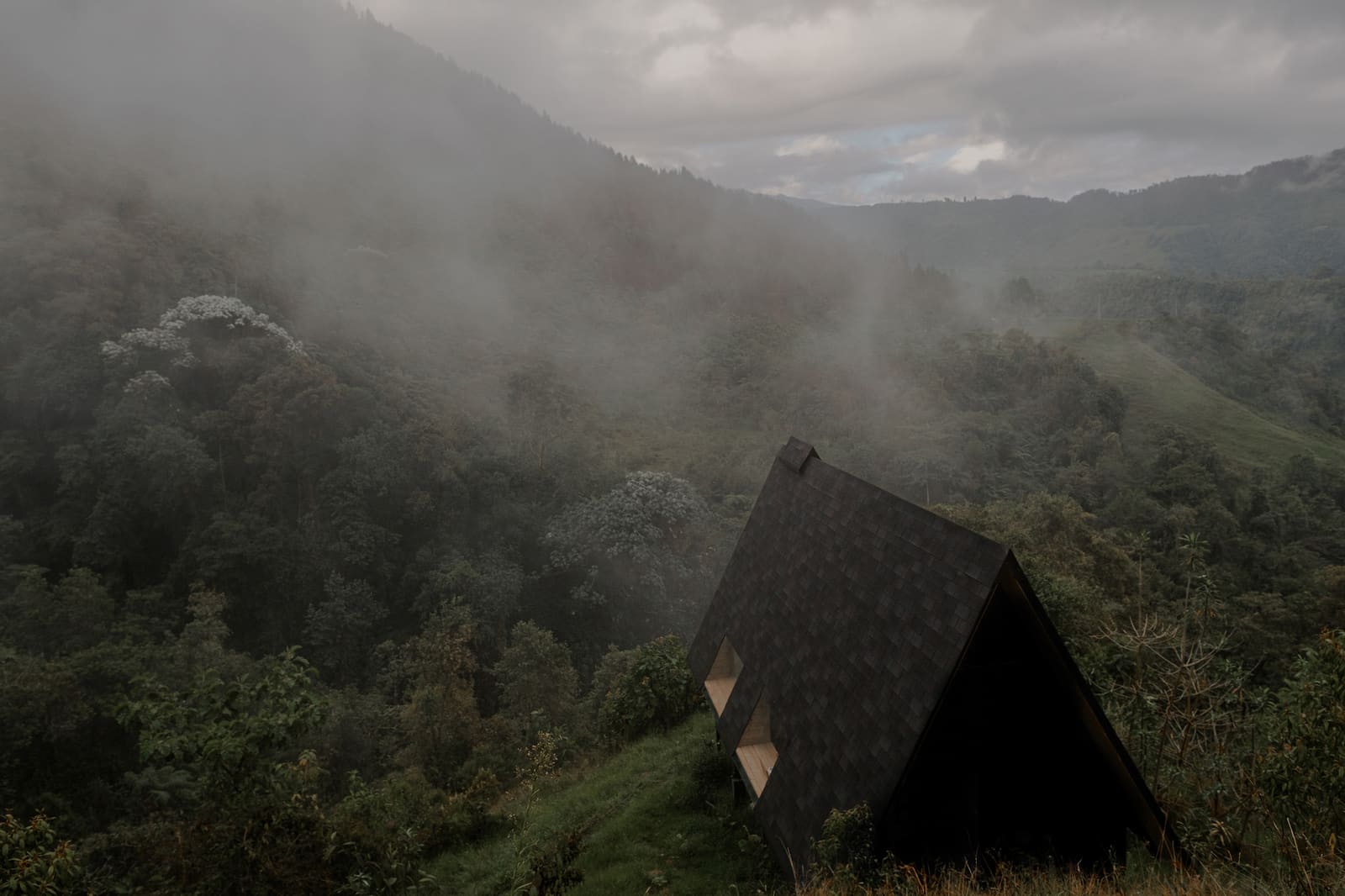 Rebuilding Cloud Forest: A Colombian Reforestation Project That Shelters Contemplation