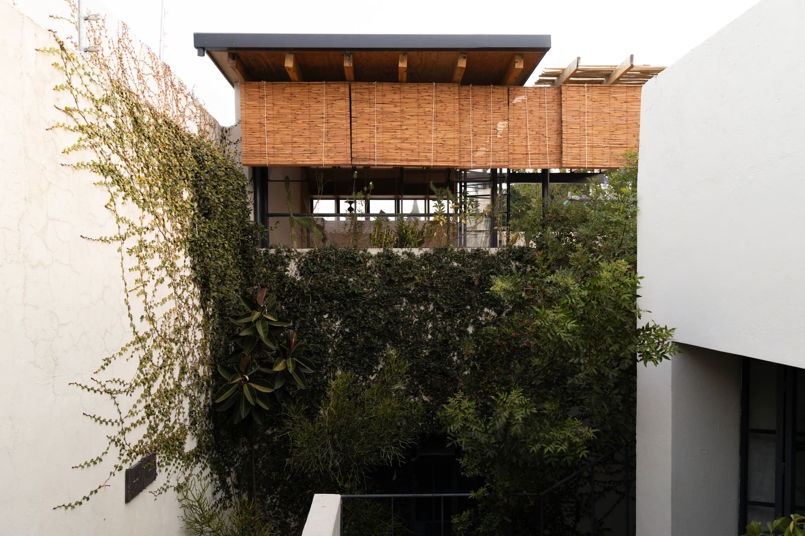 Restoring Dialogue Between Old and New in a Guadalajara Terrace
