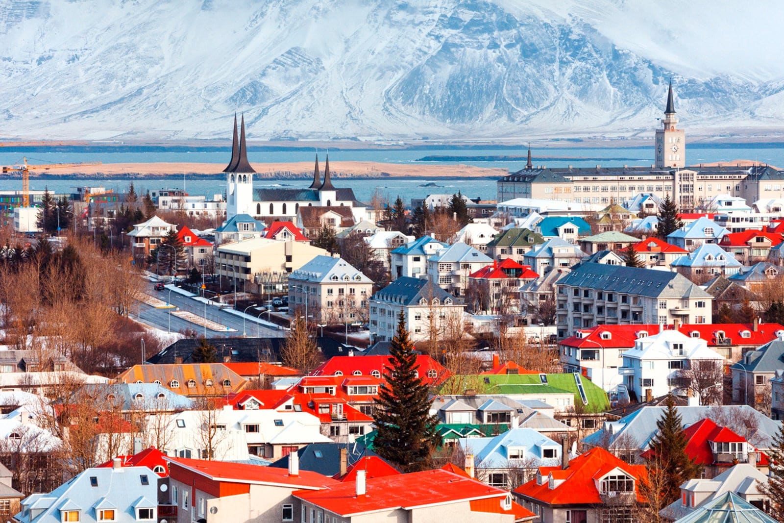 Stays & Hotels · Reykjavík