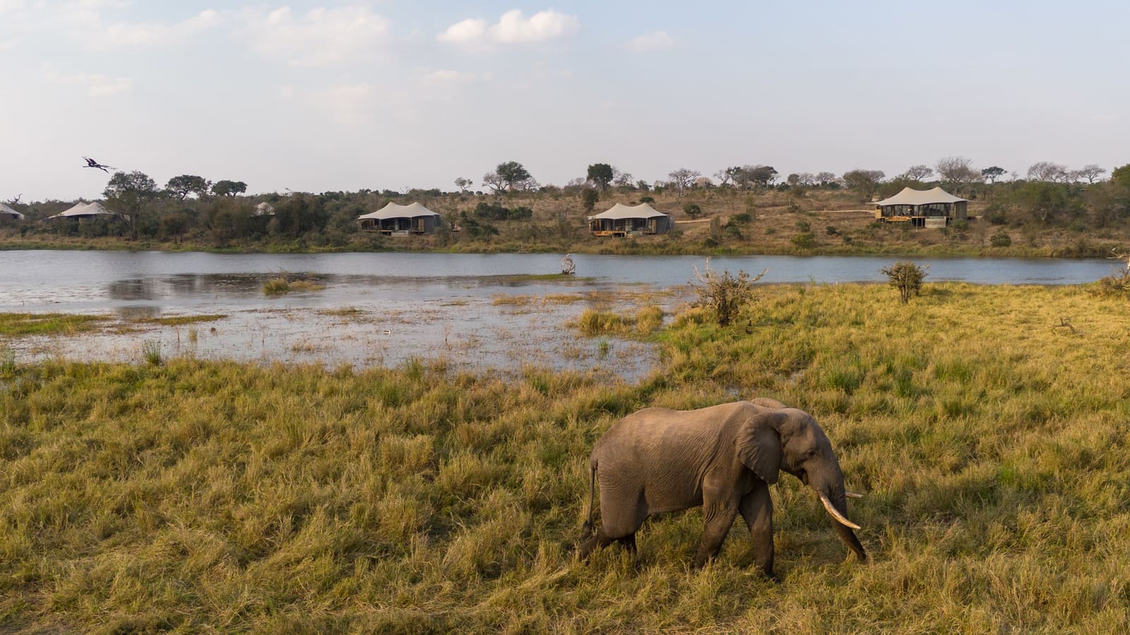 South Africa's Sandringham Reserve Bets on Conservation Over Hunting