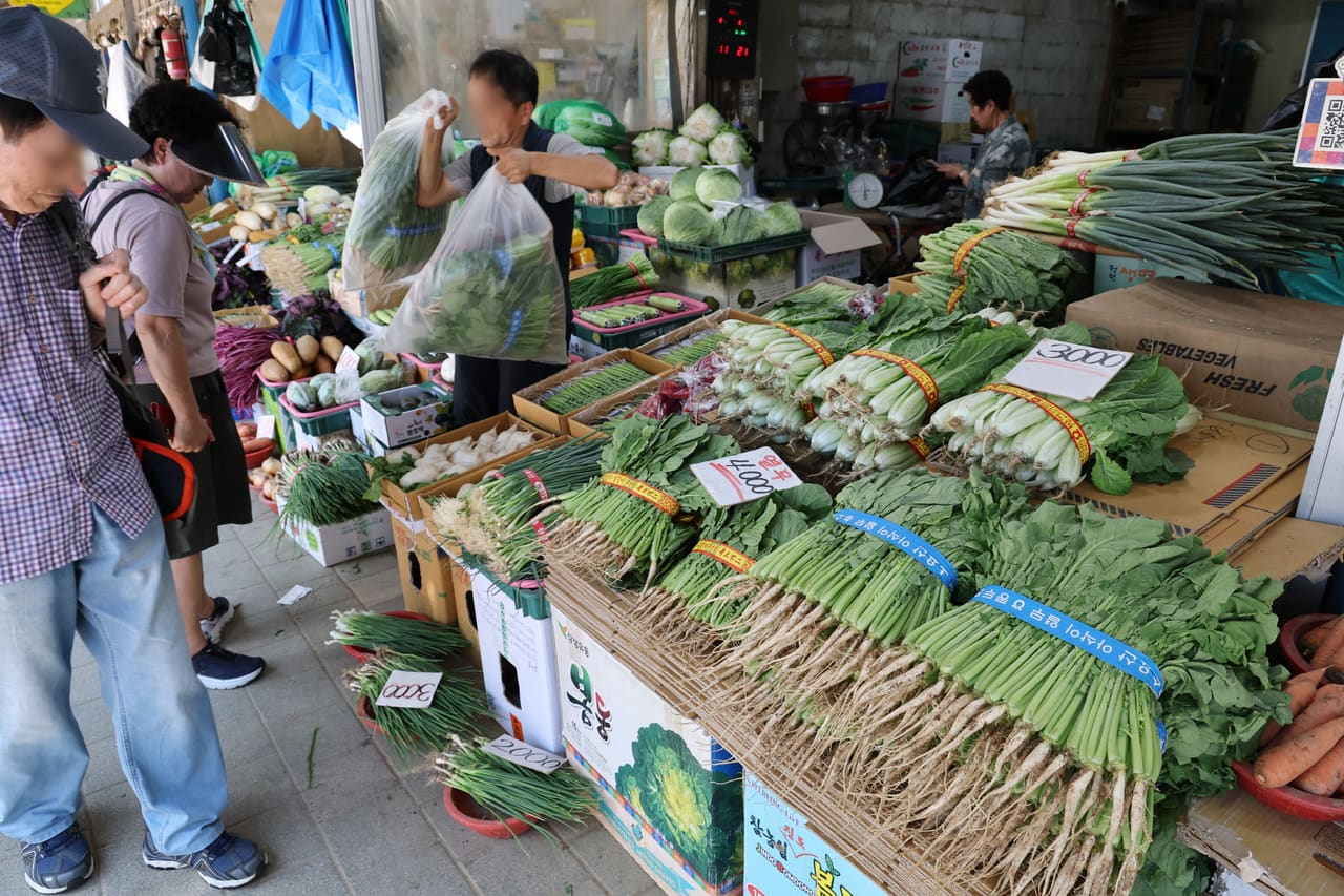 South Korean Vegetable Prices Climb as Heat Wave Disrupts Supply