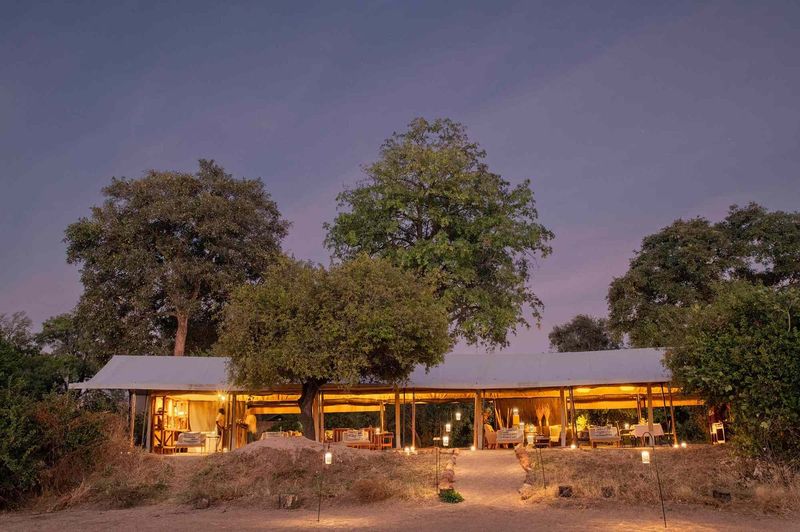 Three Tents, One Wilderness: Walking with Wildlife in Tanzania's Forgotten Park