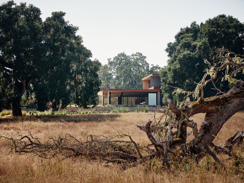 How Topography Becomes Architecture in California's Santa Lucia Preserve