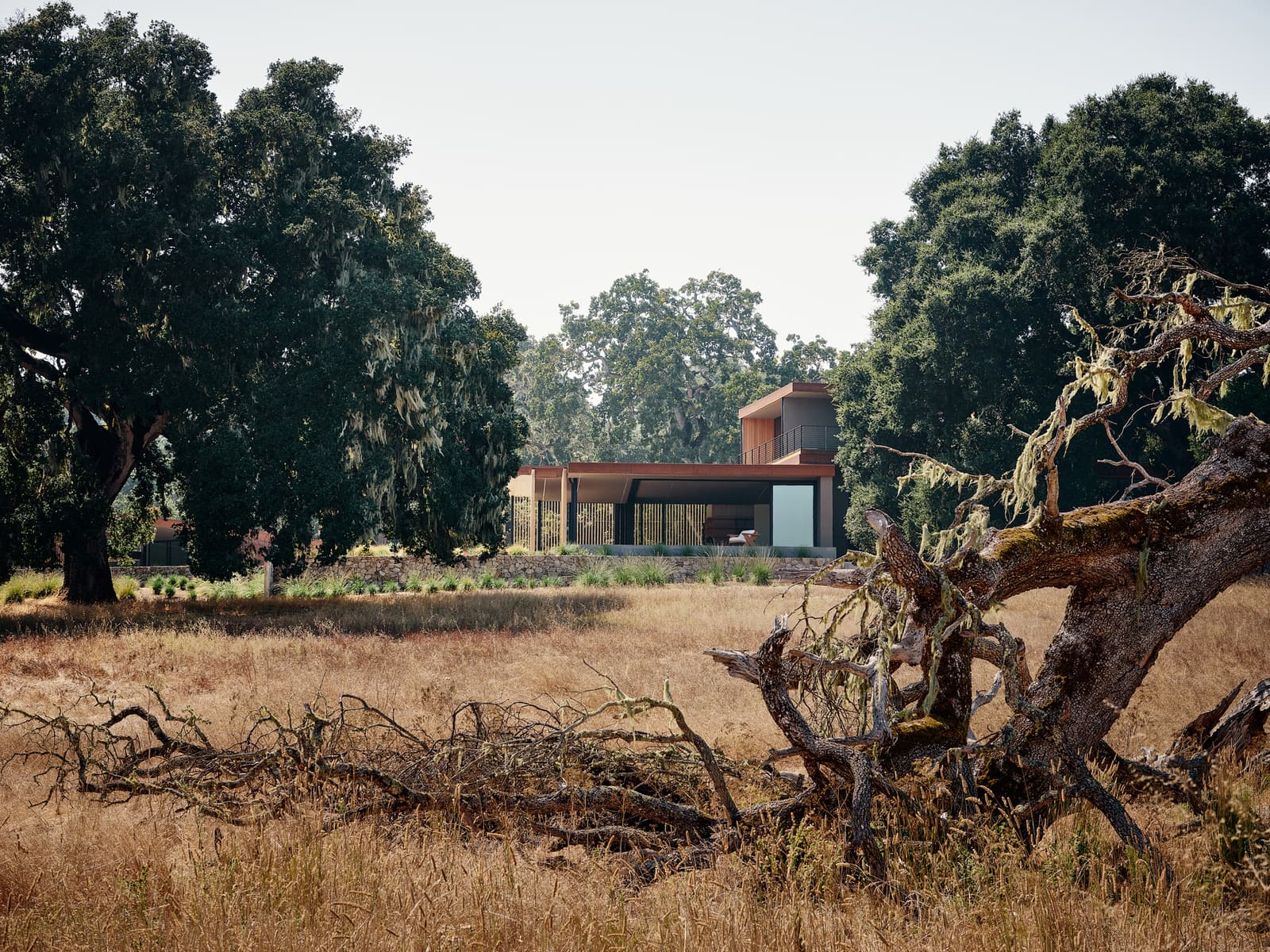 How Topography Becomes Architecture in California's Santa Lucia Preserve