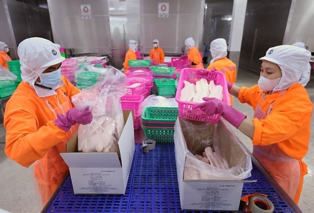 US Increases Anti-Dumping Duties on Vietnamese Pangasius Exports