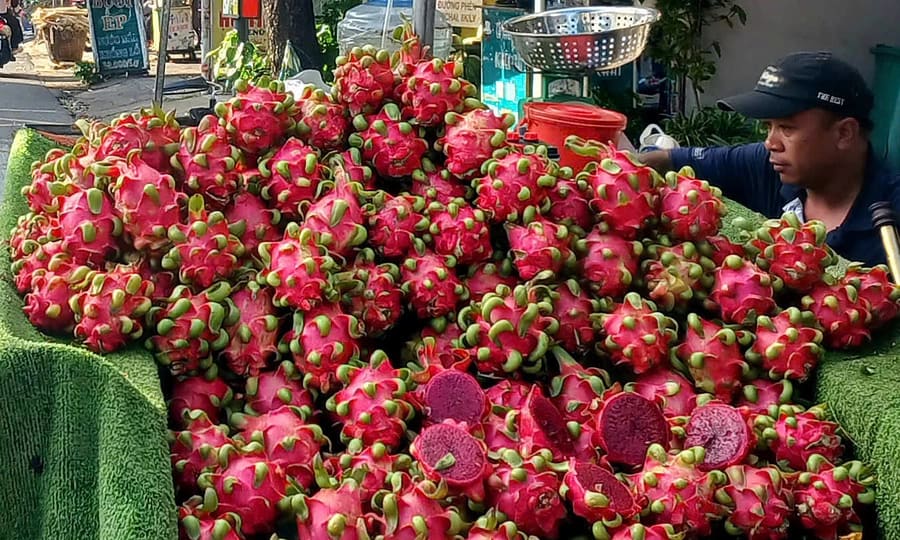 Vietnam Dragon Fruit Prices Double as Rainfall Cuts Harvest Volumes