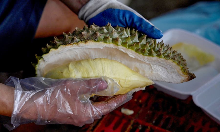 Vietnam's Durian Shipments to China Jump 43% as Harvest Season Peaks