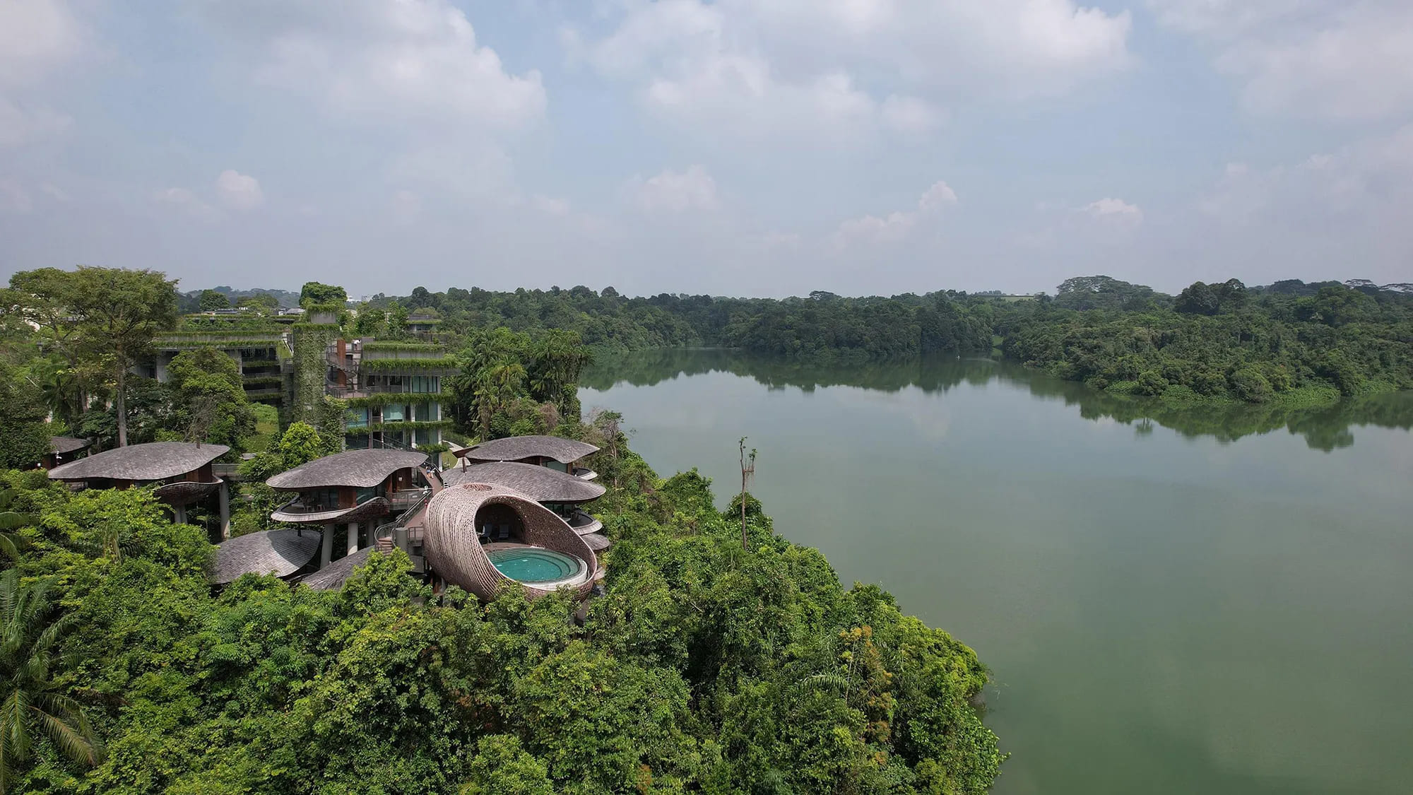 WOW Architects Suspends a Constellation of Timber Shells Above Singapore's Last Wild Edge