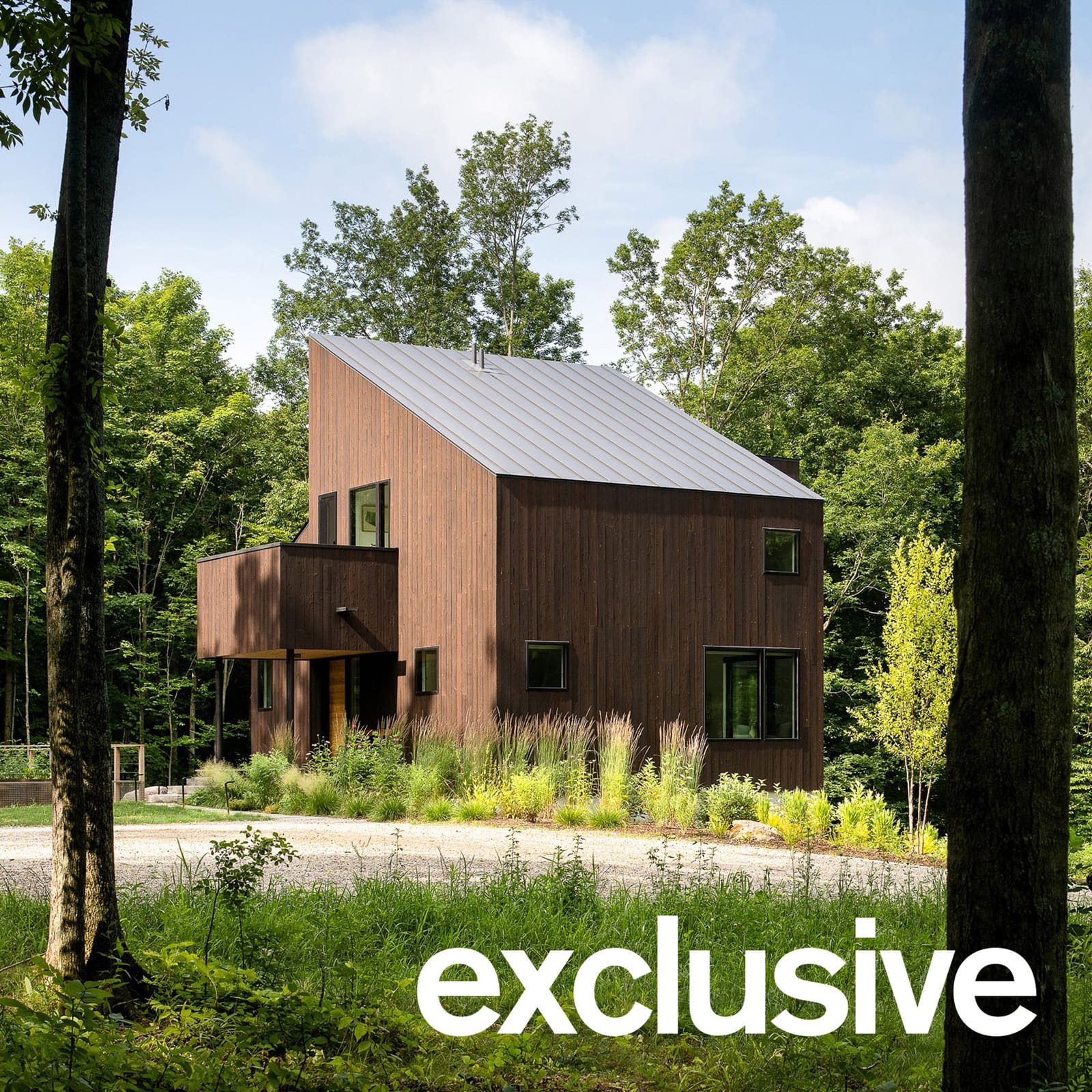 How Yakisugi Cedar Helped a Vermont Residence Disappear Into the Forest