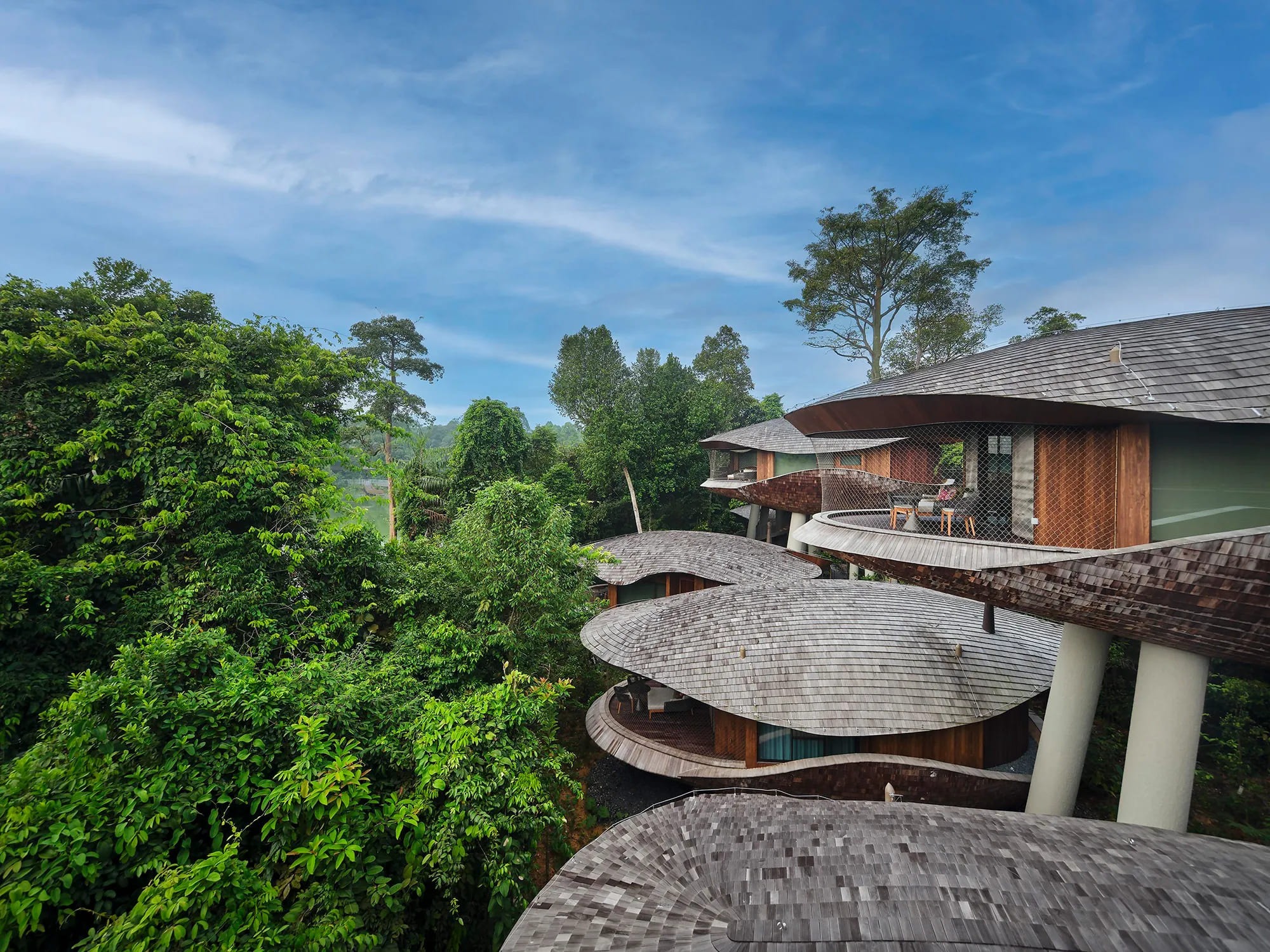 WOW Architects Suspends a Constellation of Timber Shells Above Singapore's Last Wild Edge