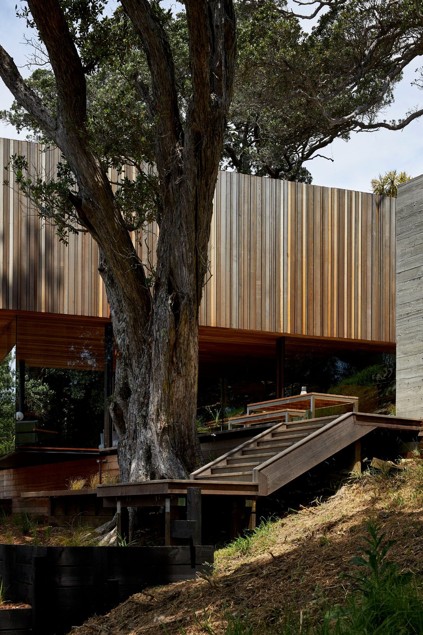 MacKay Curtis Suspends a Timber Sleeping Box Over a Fully Glazed Living Platform