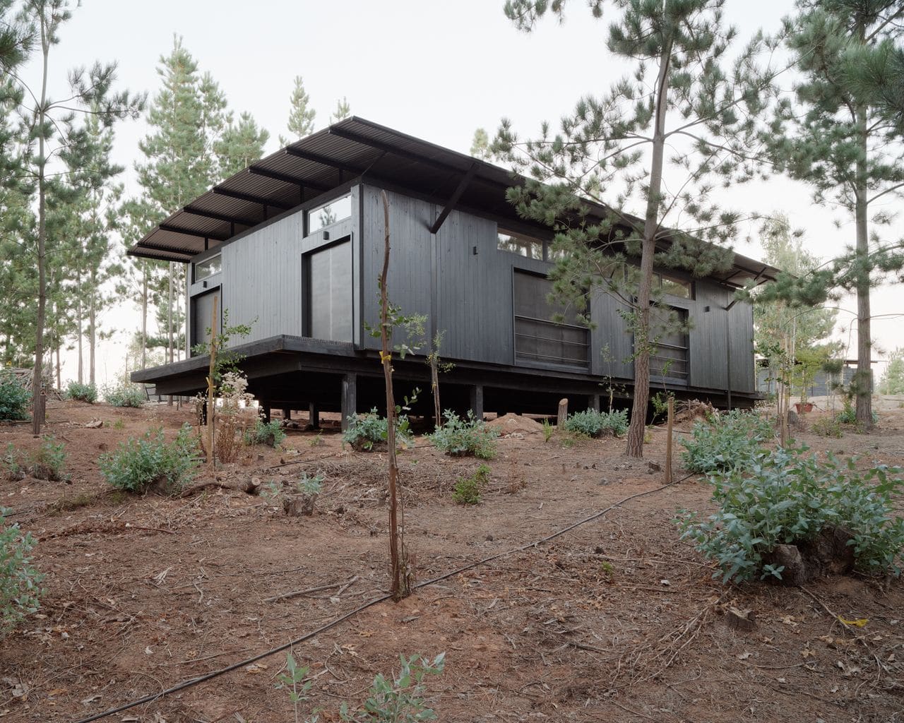 How a Chilean Studio Turns Twenty-Two Sliding Panels into a Climate Device