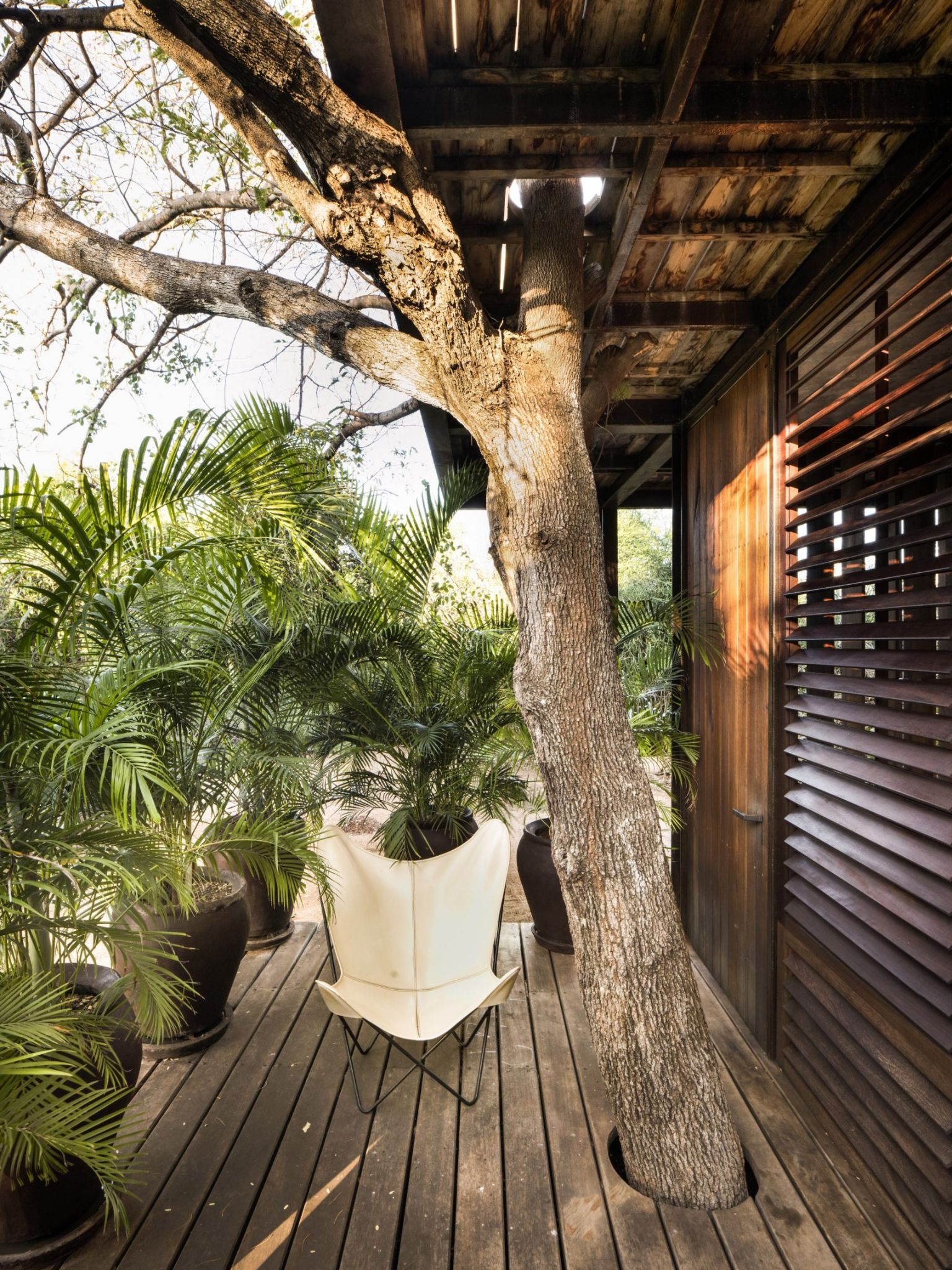Falcon House by PAT. architetti associati: Off-Grid Architecture Born from Landscape, Climate and Simplicity