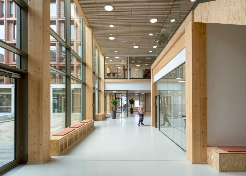 Sylvatic Rationalism: C.F. Møller Architects Plants a Structural Forest in Odense