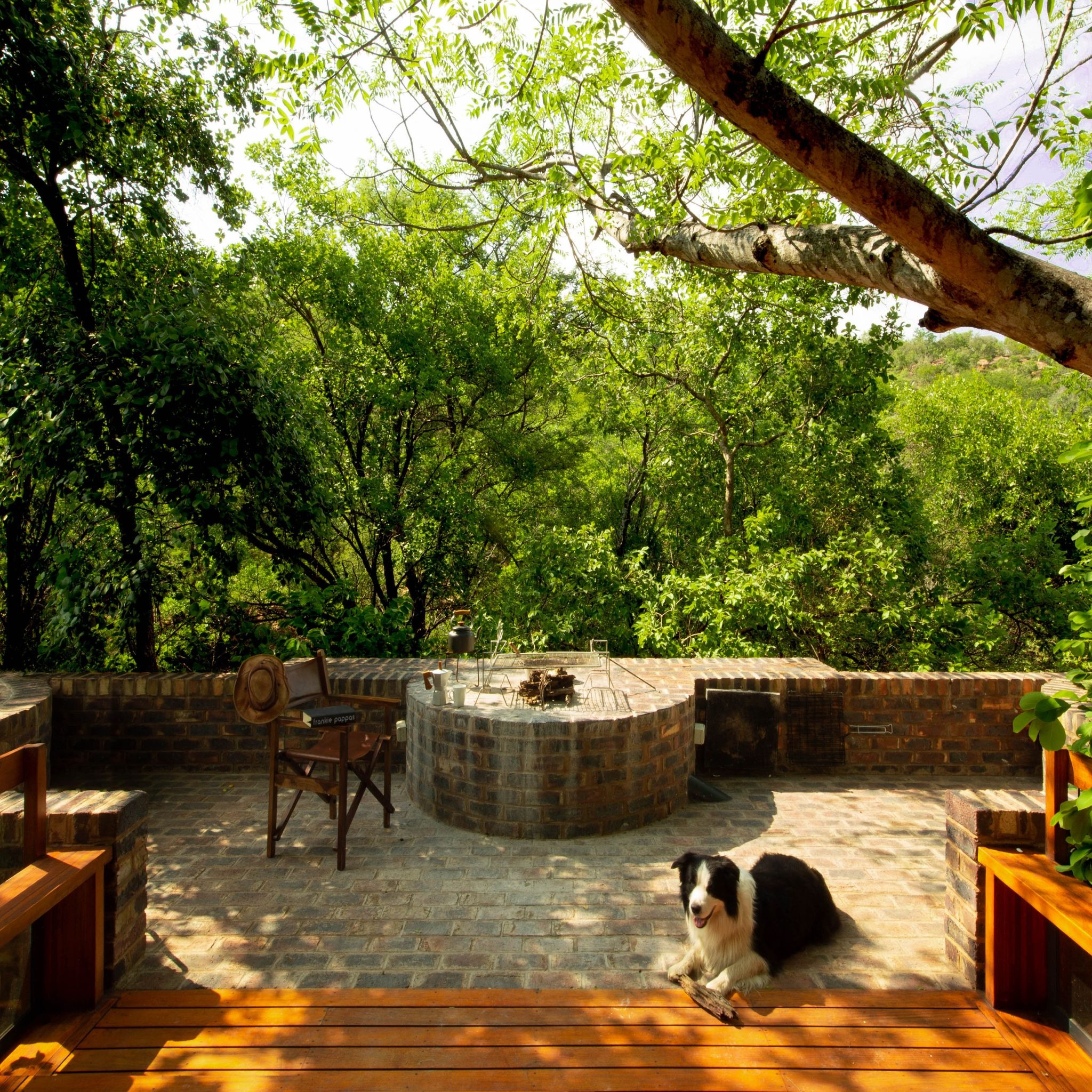 The Arch Bridge: Frankie Pappas' Stealth Architecture in the Waterberg Wilderness