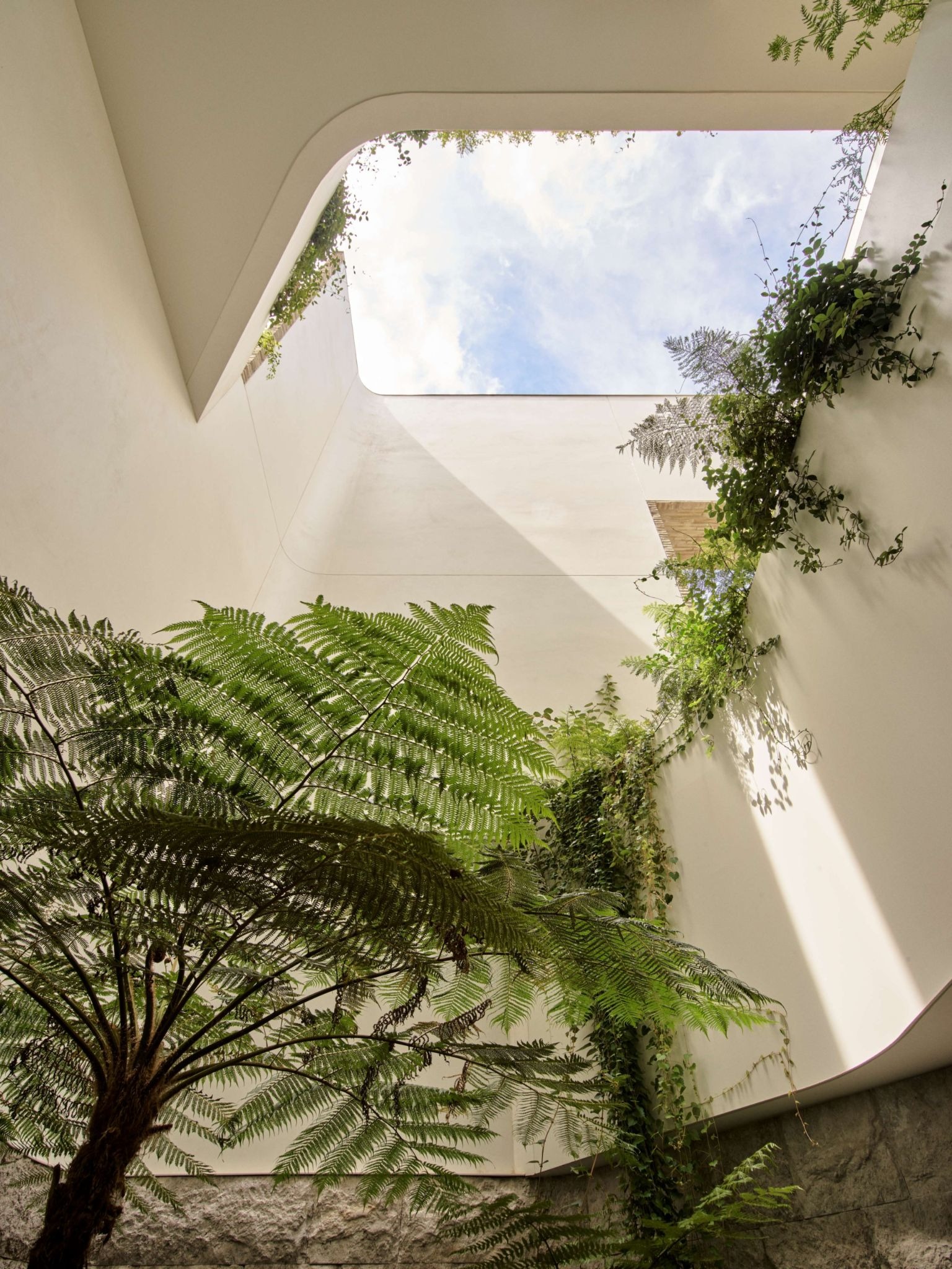 The House of Light by Jolson: A Sculpted Retreat of Craft, Material, and Light