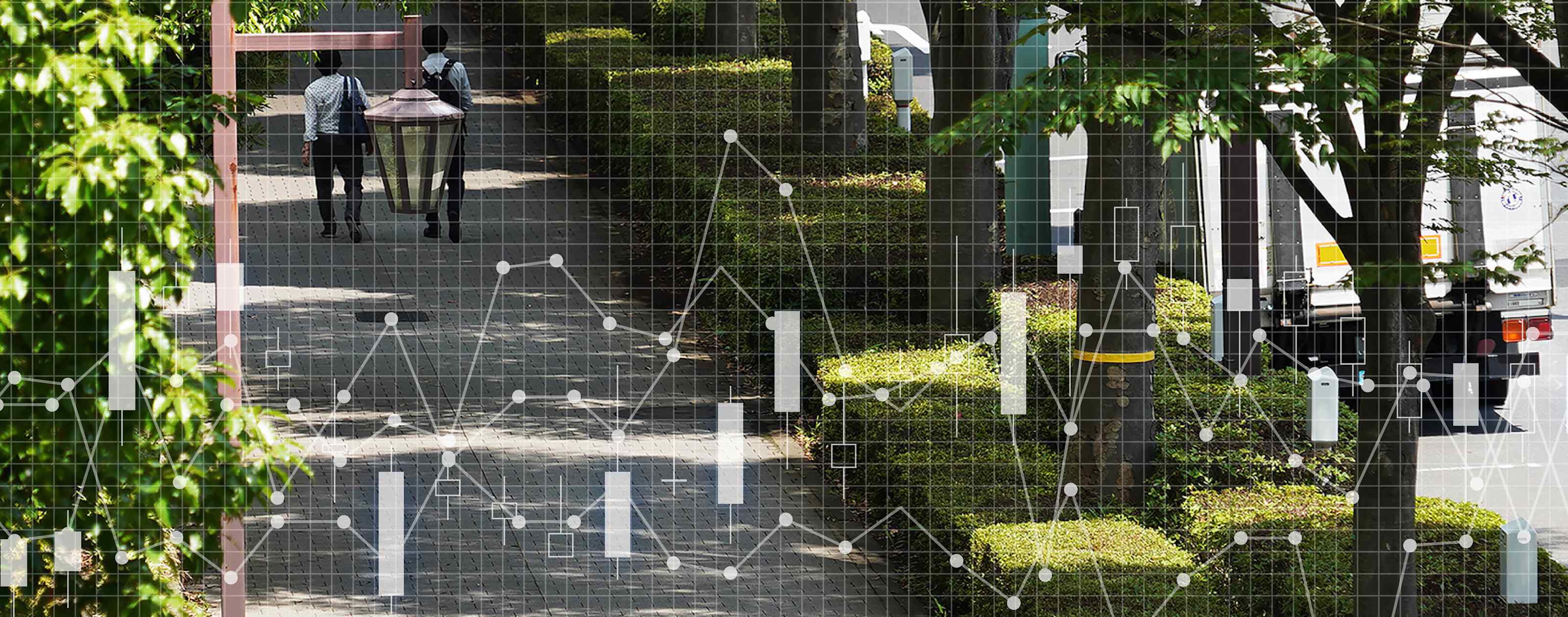 When Cities Forget Their Canopies: Japan's Vanishing Urban Forest