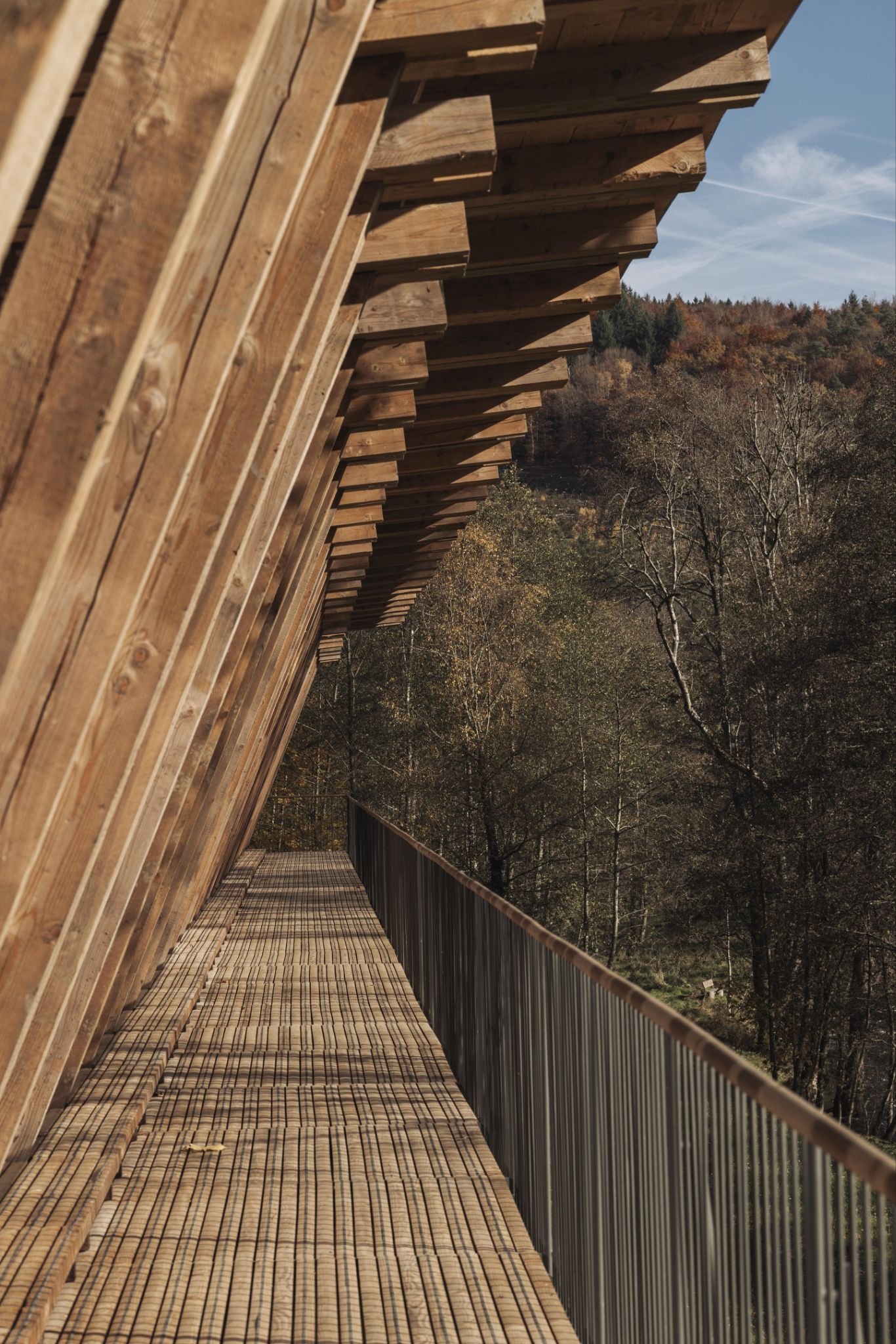 Radical Roots: How BC Architects Built 'Woodstock' from the Soil Up