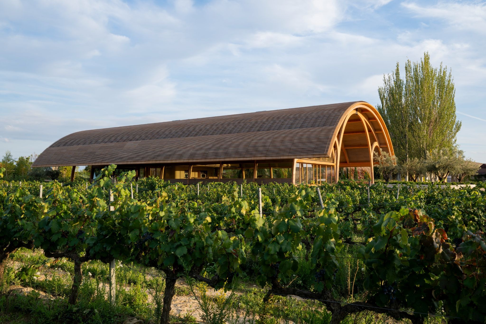 The Legacy of Bodegas Faustino: Where Architecture Merges with the Rioja Terroir
