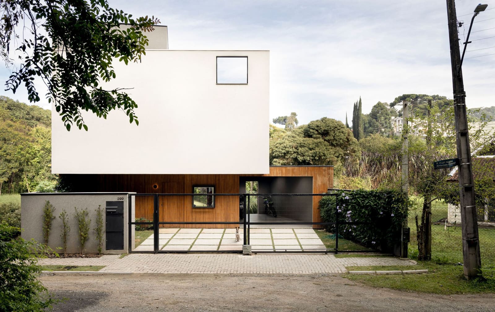 A House That Listens to the Forest