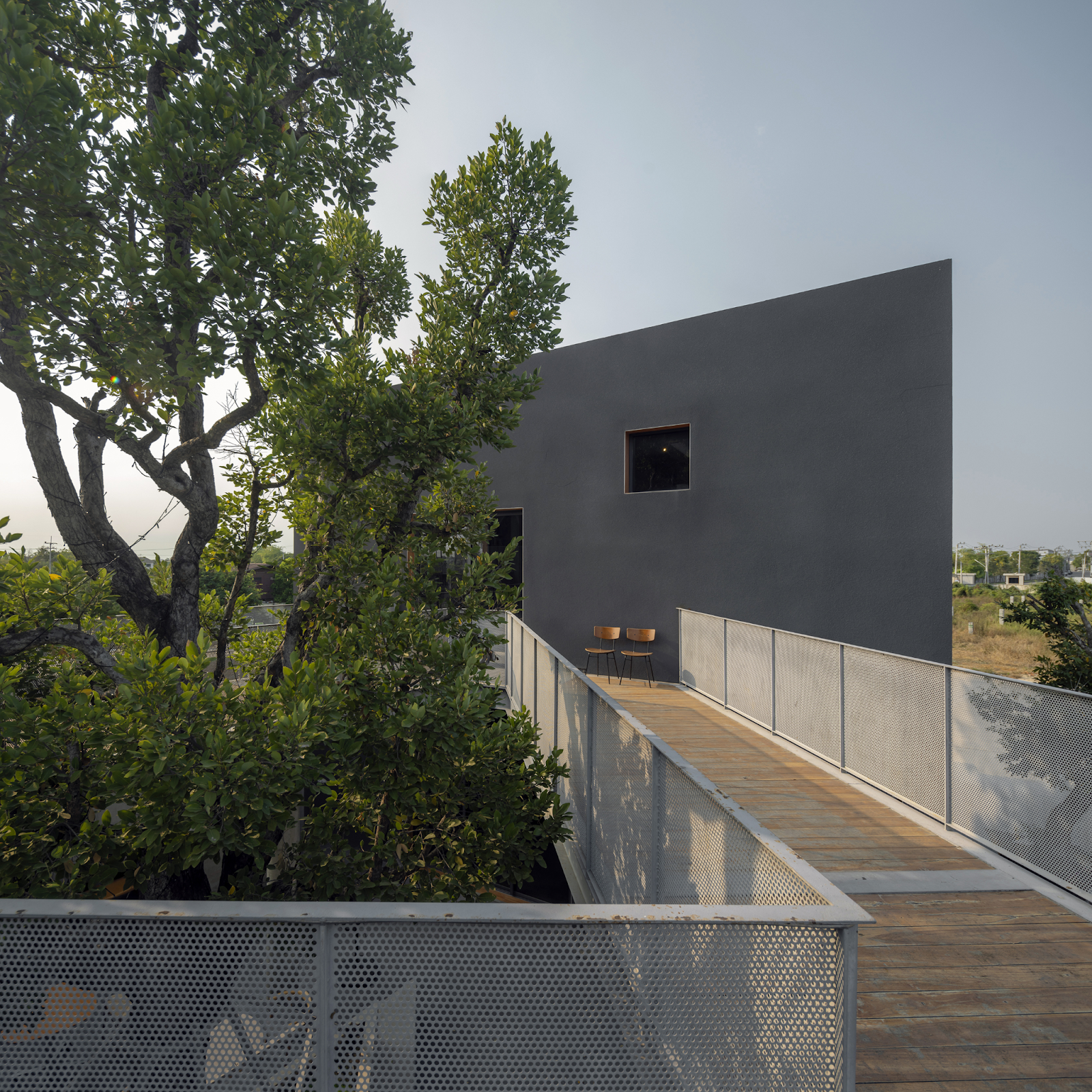 DIFF Coffee Roasters by ASWA: Minimalist Concrete Cubes Bridged by Nature in Phitsanulok