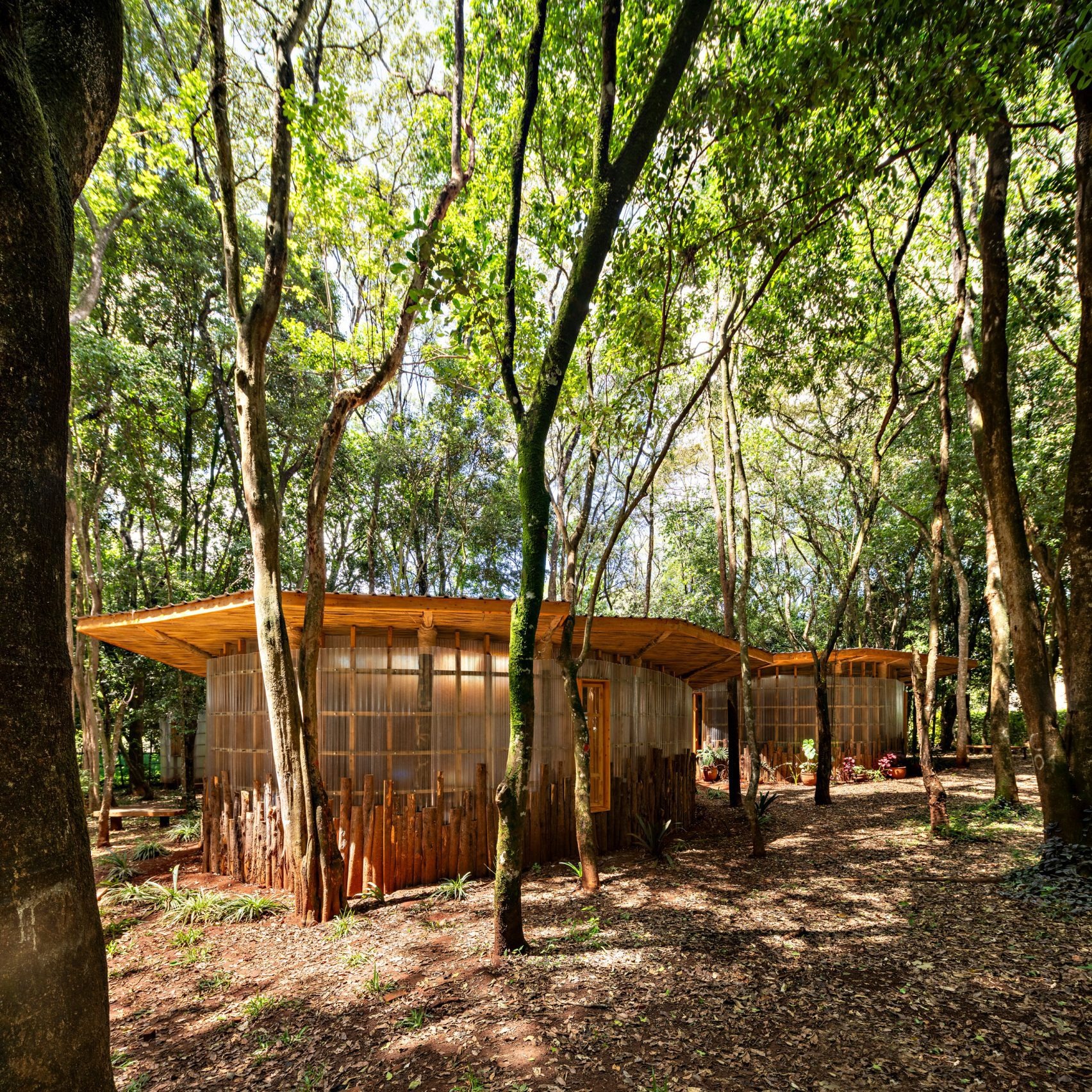 Nairobi Waldorf School by Urko Sánchez Architects: A Forest-Village of Learning Where Nature Takes the Lead