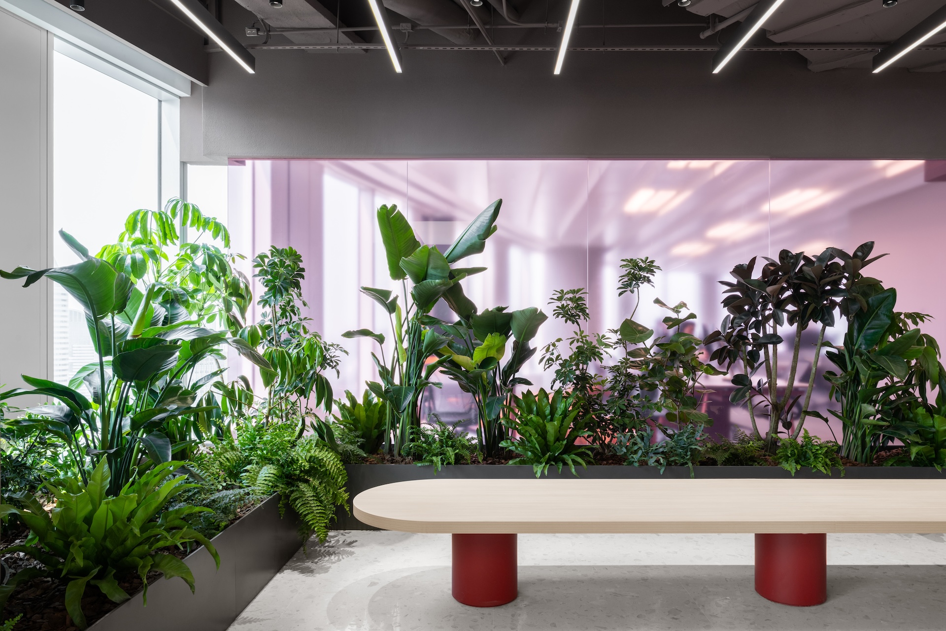 Publicis Shanghai: An Open-plan Office Borrowing From Courtyard Typology