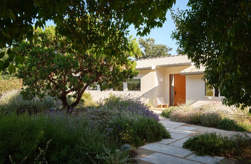 Chasing the Golden Hour: A Sculptural Renovation in Sonoma Defined by Light
