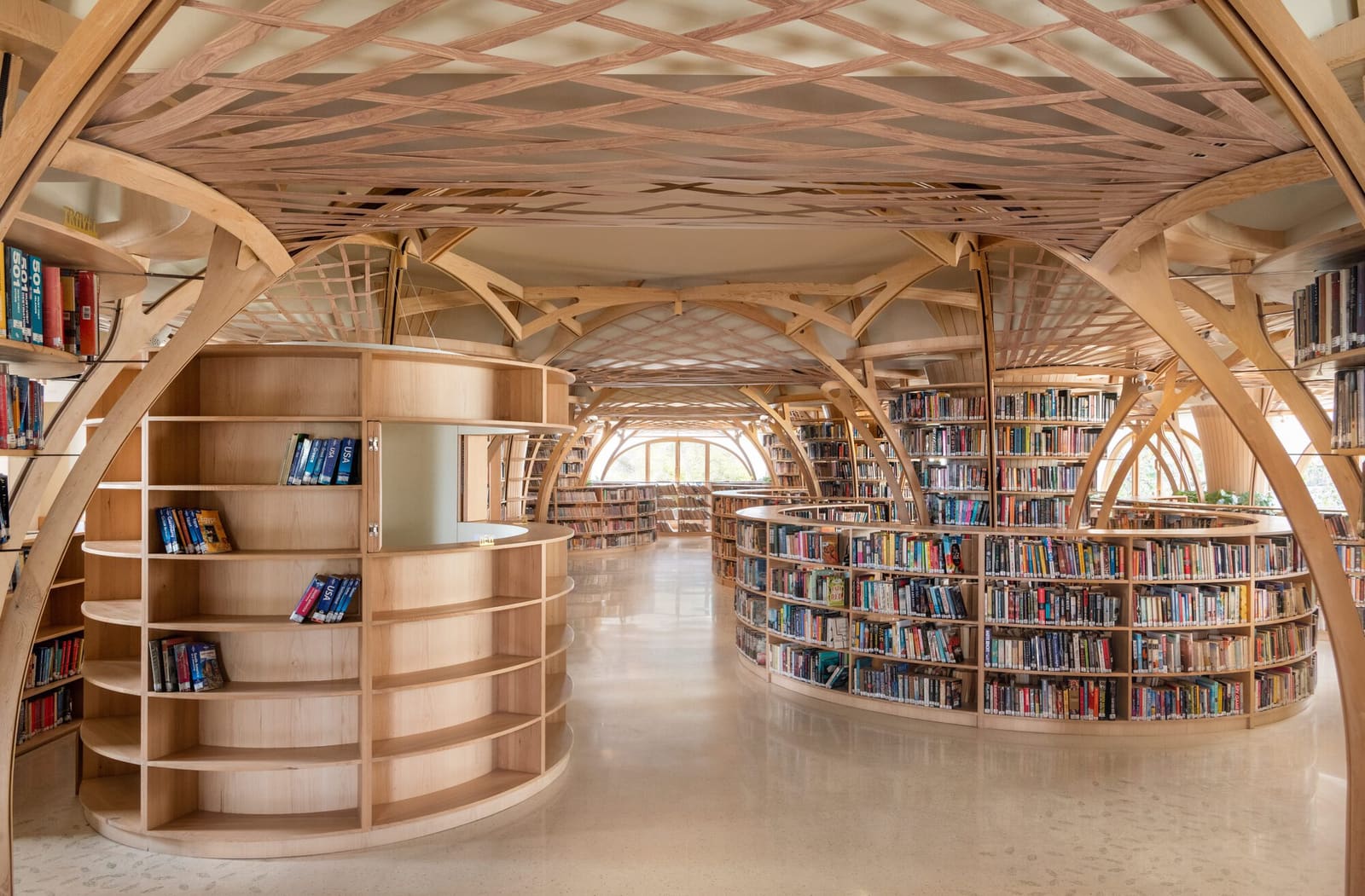 When Libraries Remember Trees: Studio Hinge's Forest Canopy in Mumbai