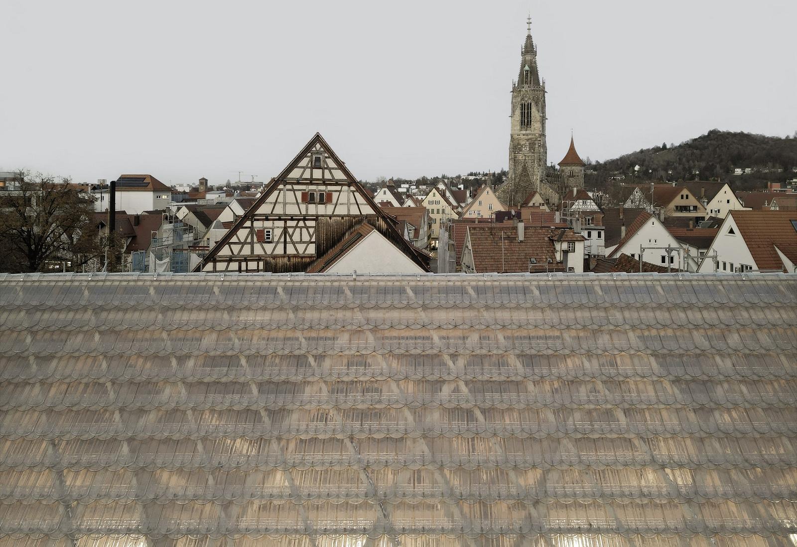 A Ghost in Glass: wulf architekten Resurrects Reutlingen’s Medieval Memory