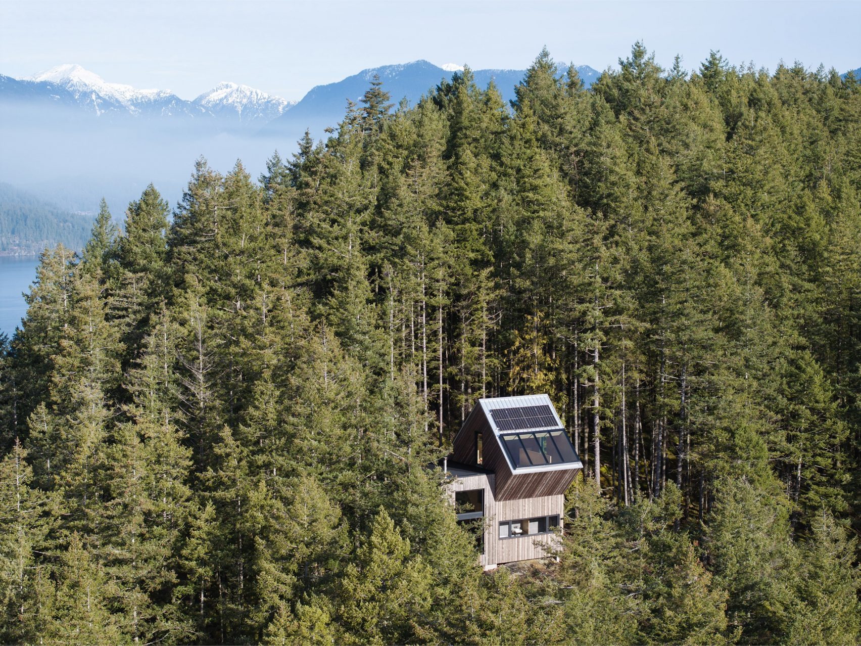 The Nest: Daria Sheina Studio’s Solar-Powered Perch in the British Columbia Canopy