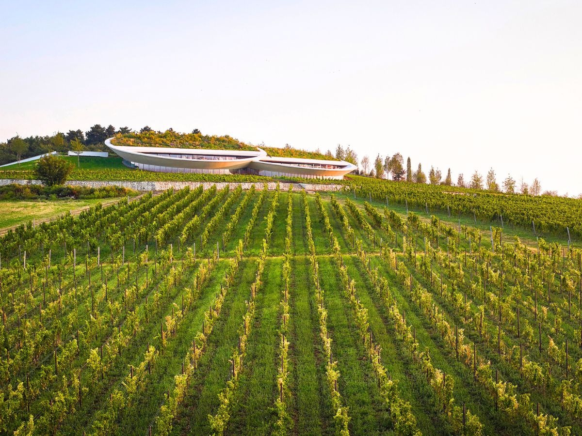 Sauska Tokaj: BORD’s Monumental Lens-Winery Floats Above Hungary’s Vineyards
