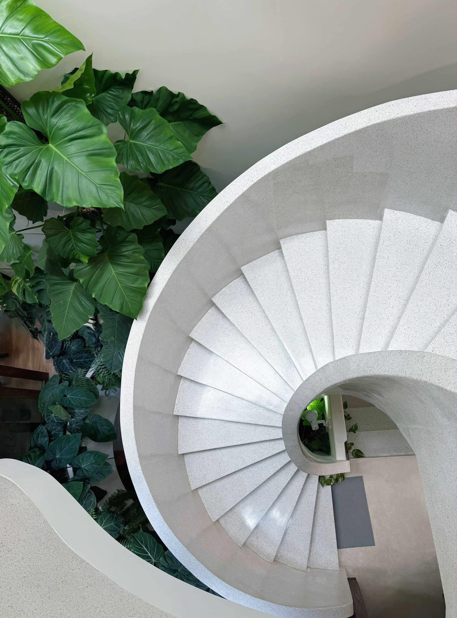 Living With Gaps And Green: Mochi House And The Architecture Of Embraced Imperfection