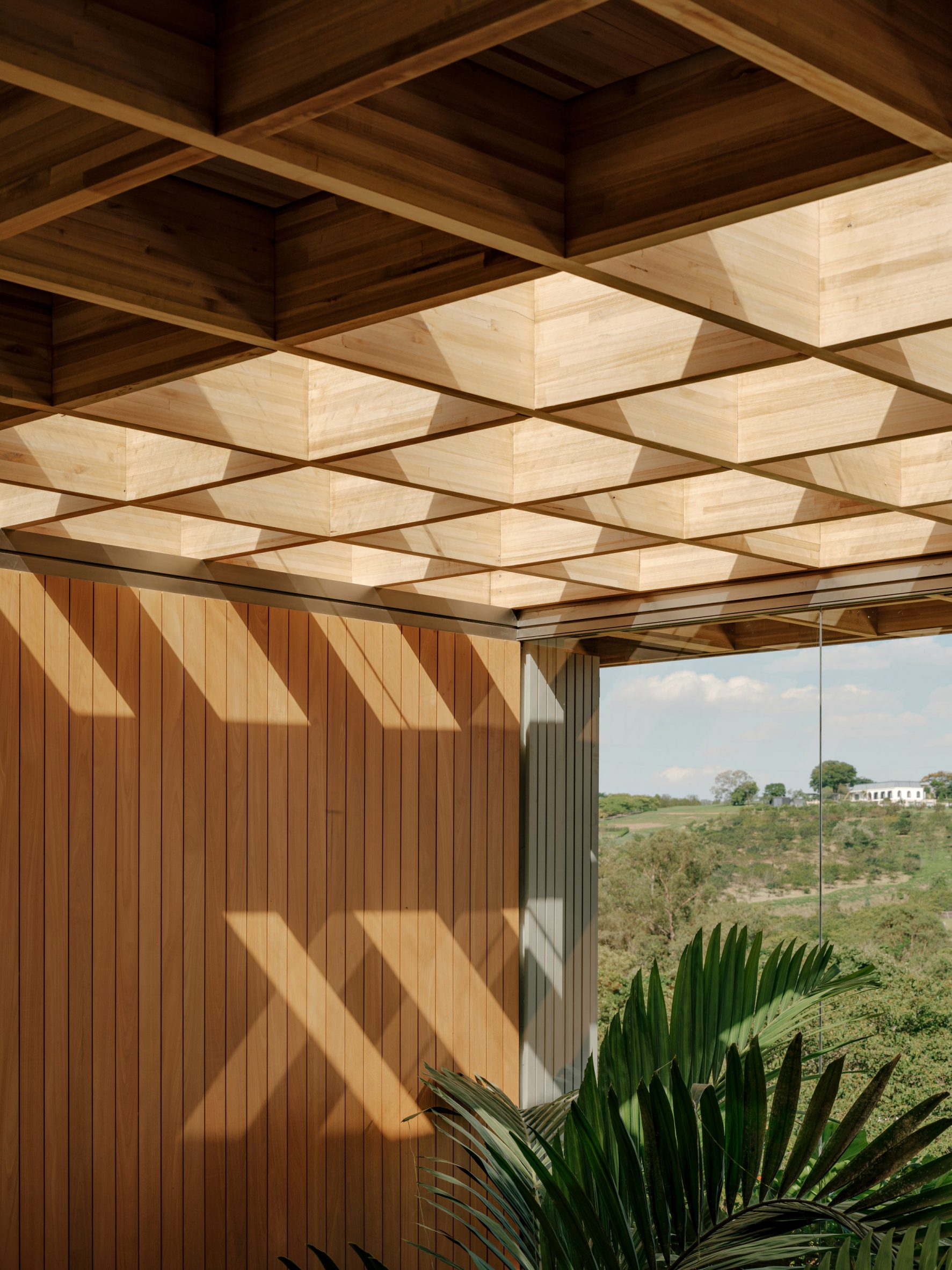 Under The Canopy: Casa Colmeia And The Architecture Of Filtered Living